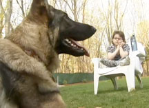 Service Dog Life Spared