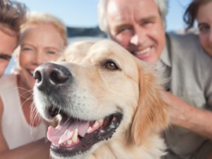 How To Stop a Barking Dog