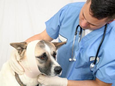 Plastic Surgery and Mediation – What do they have in common?