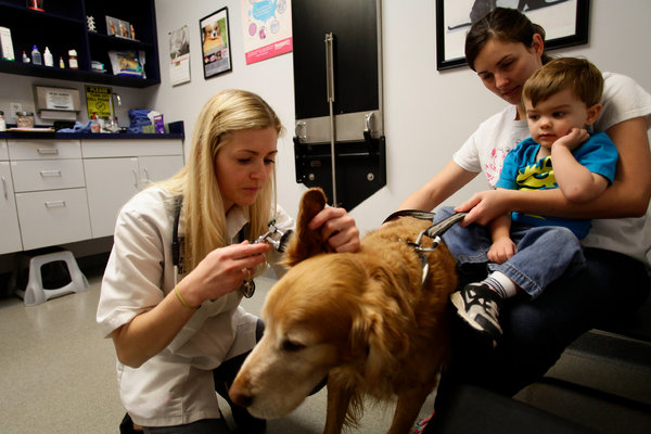 Conquering the &ldquo;Vet Debt Trap&rdquo;