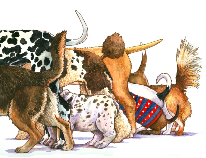 Weaving of a Pet Tail – TV Reflecting Real Life with Pets!