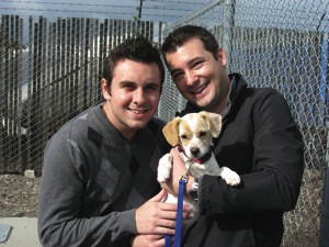 Solving Conflicts, Pet and otherwise, in the LGBTQ Community
