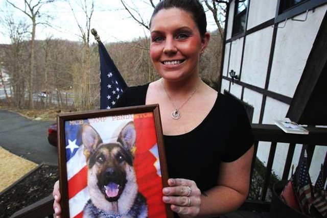 All Paws Up for Veterans Day