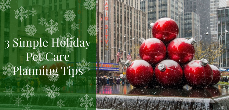 Holiday Pet Care Planning Tips