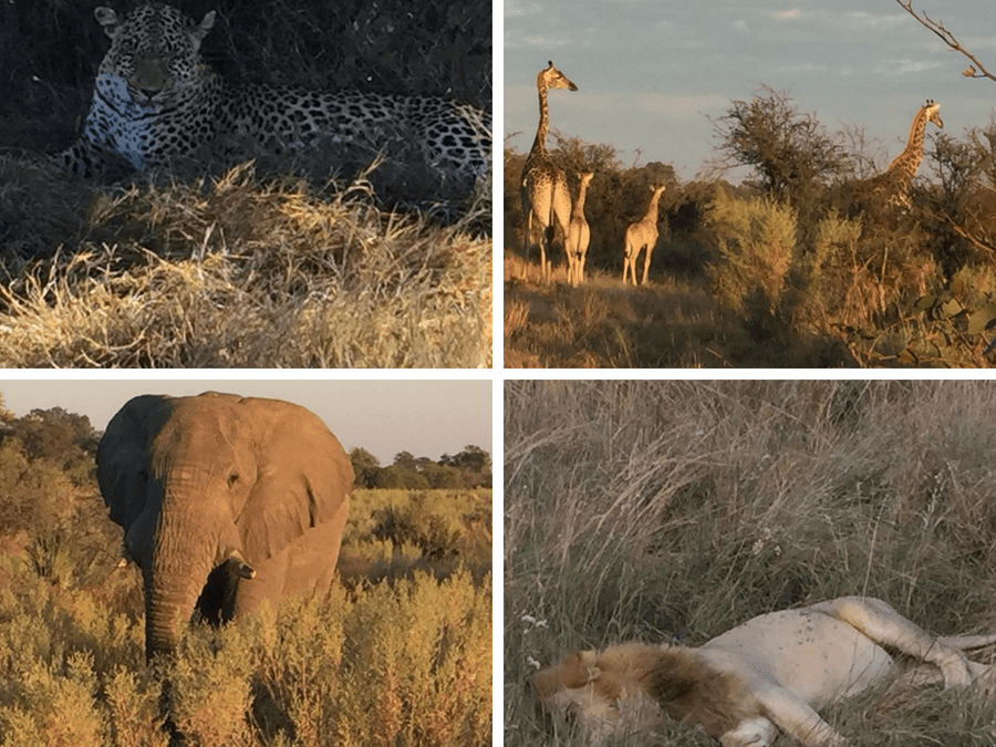 Africa, Upcoming ADR Events and GDPR Update
