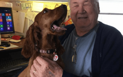 Seniors: How To Take Control Of Your Beloved Companion’s Future