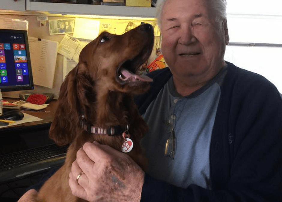 Seniors: How To Take Control Of Your Beloved Companion’s Future