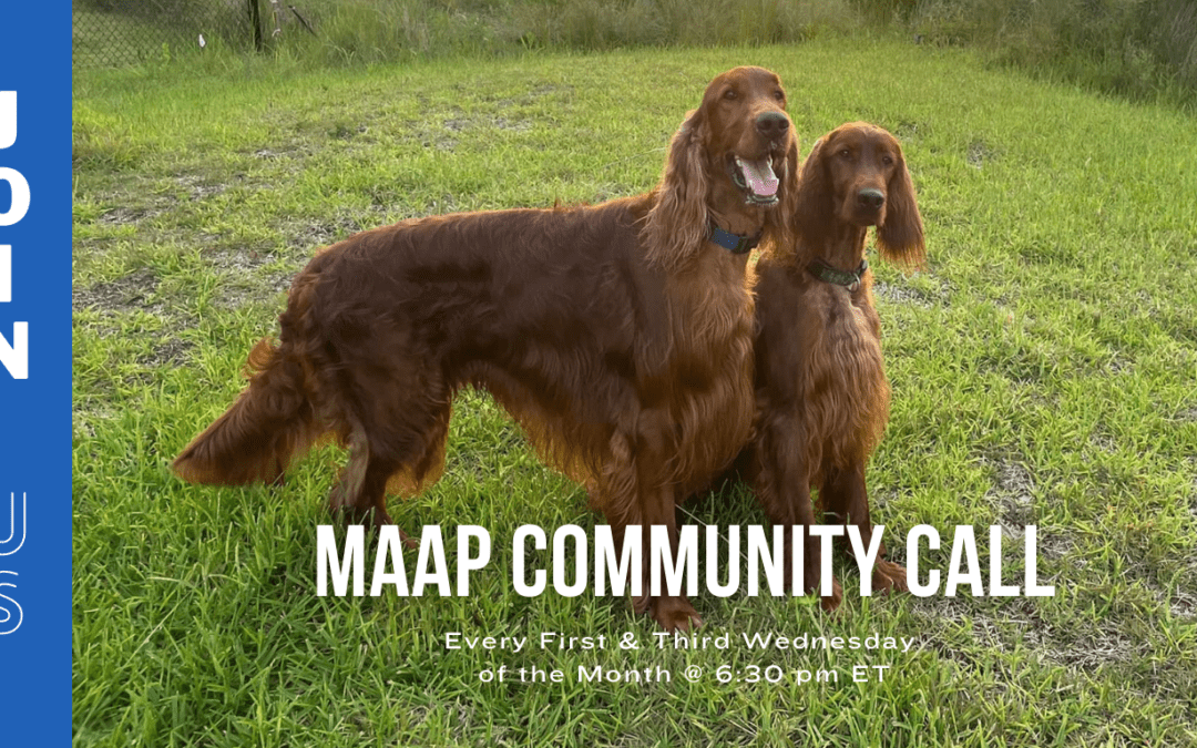MAAP Plan &ndash; Navigating the Journey Your Pet Takes When You Can&rsquo;t Care For It