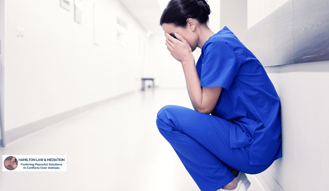 From Burnout to Compassion: A Veterinarian’s Journey of Healing and Growth