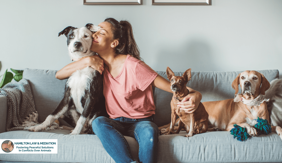 Managing Cost of Care Conversations in Veterinary Medicine