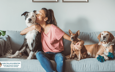 Managing Cost of Care Conversations in Veterinary Medicine